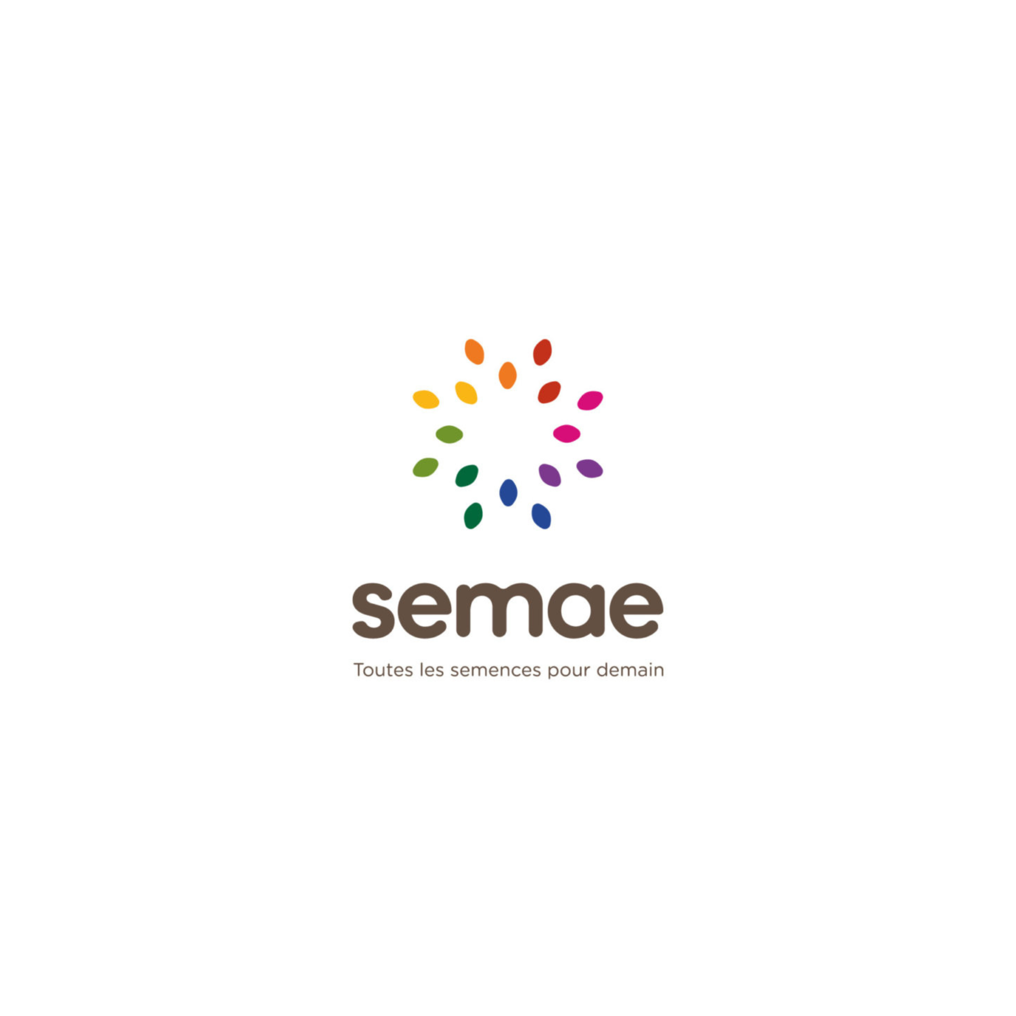 SEMAE