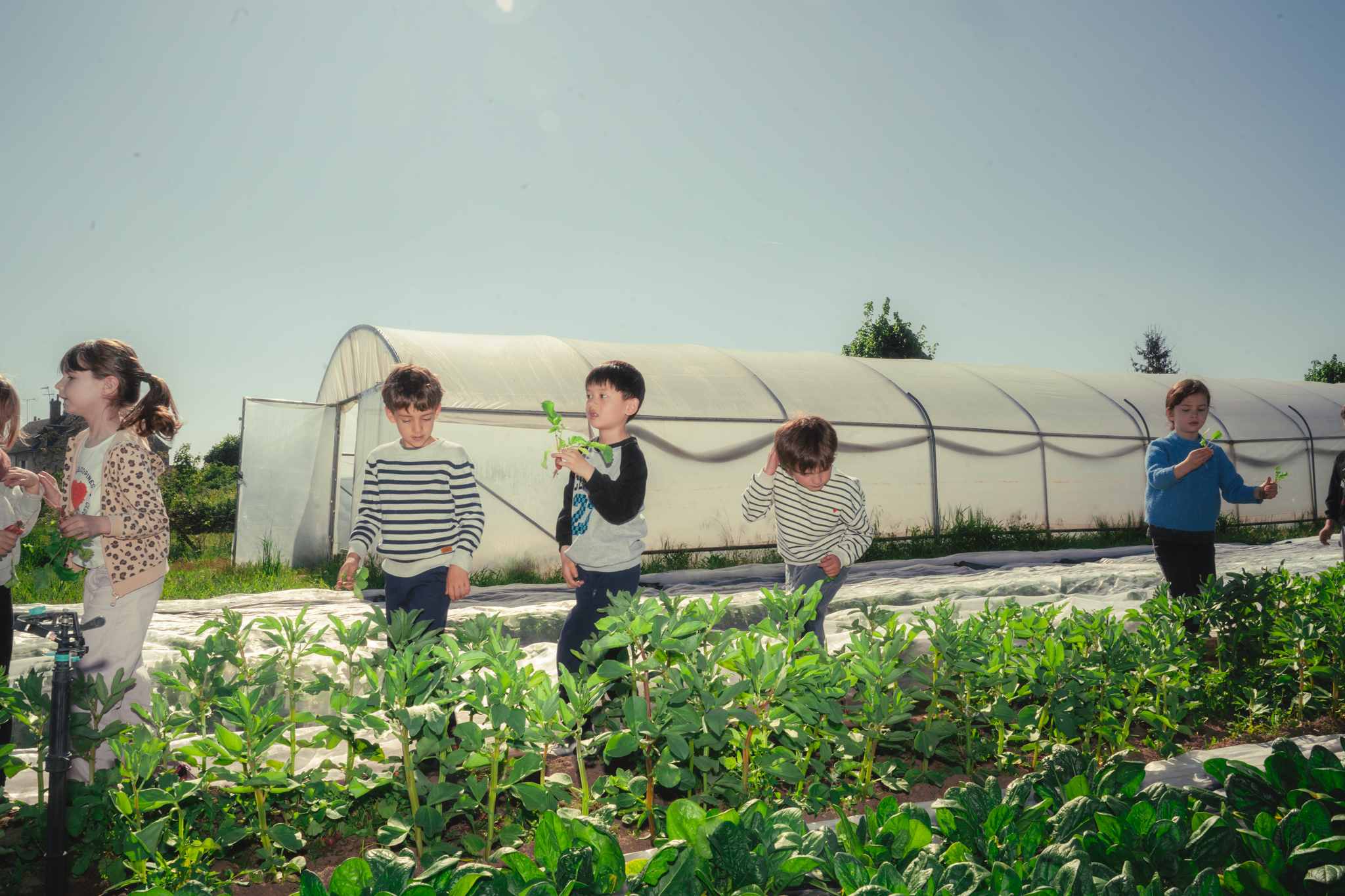 Éducation à l’alimentation