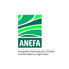 ANEFA